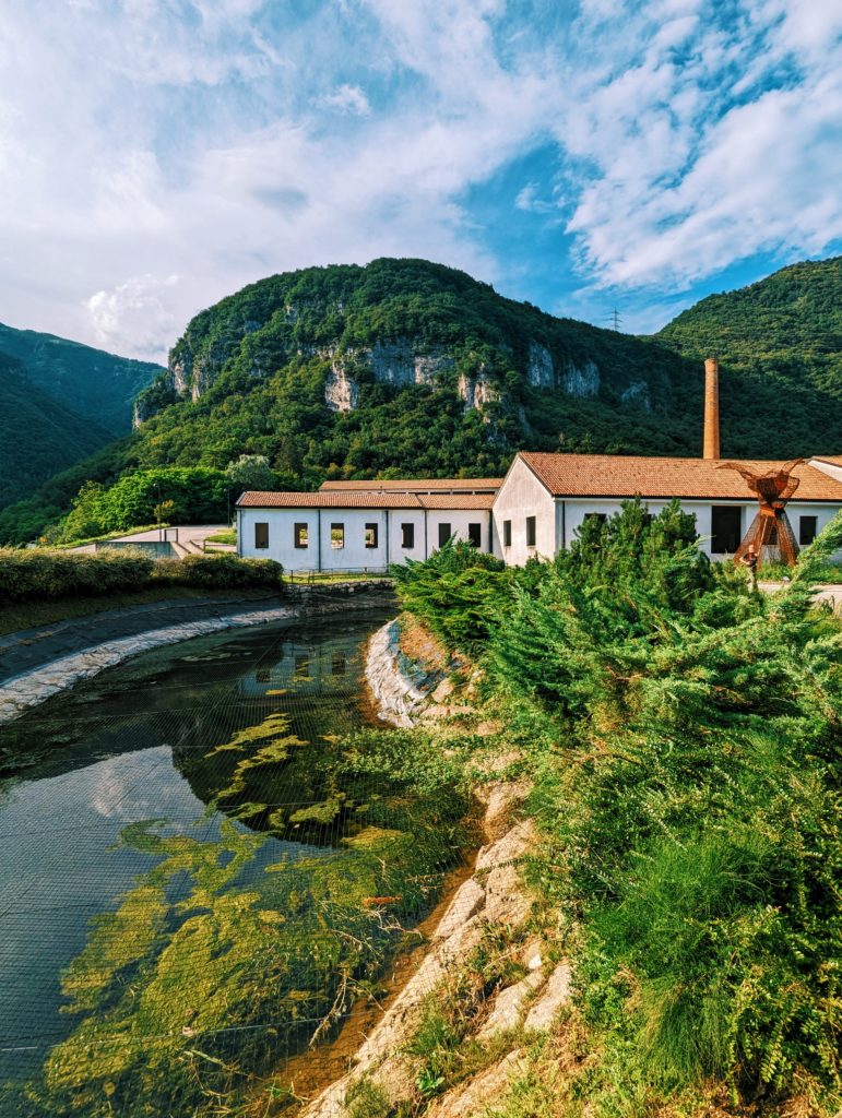 Processed with VSCO with l5 preset