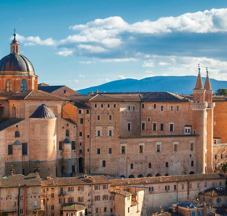 1600x900_1608288777319_urbino