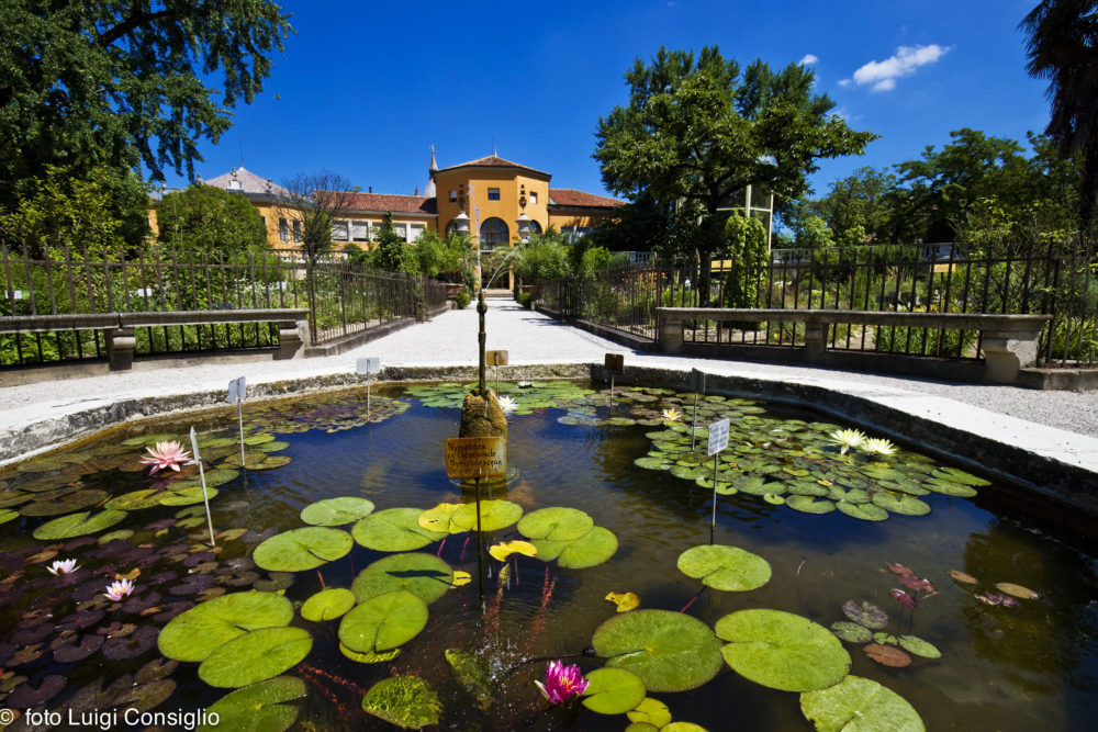 172) ORTO BOTANICO DI PADOVA