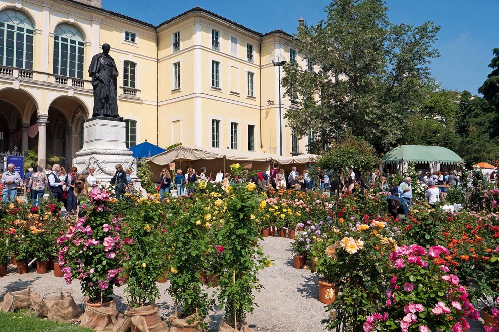 77) ORTICOLA