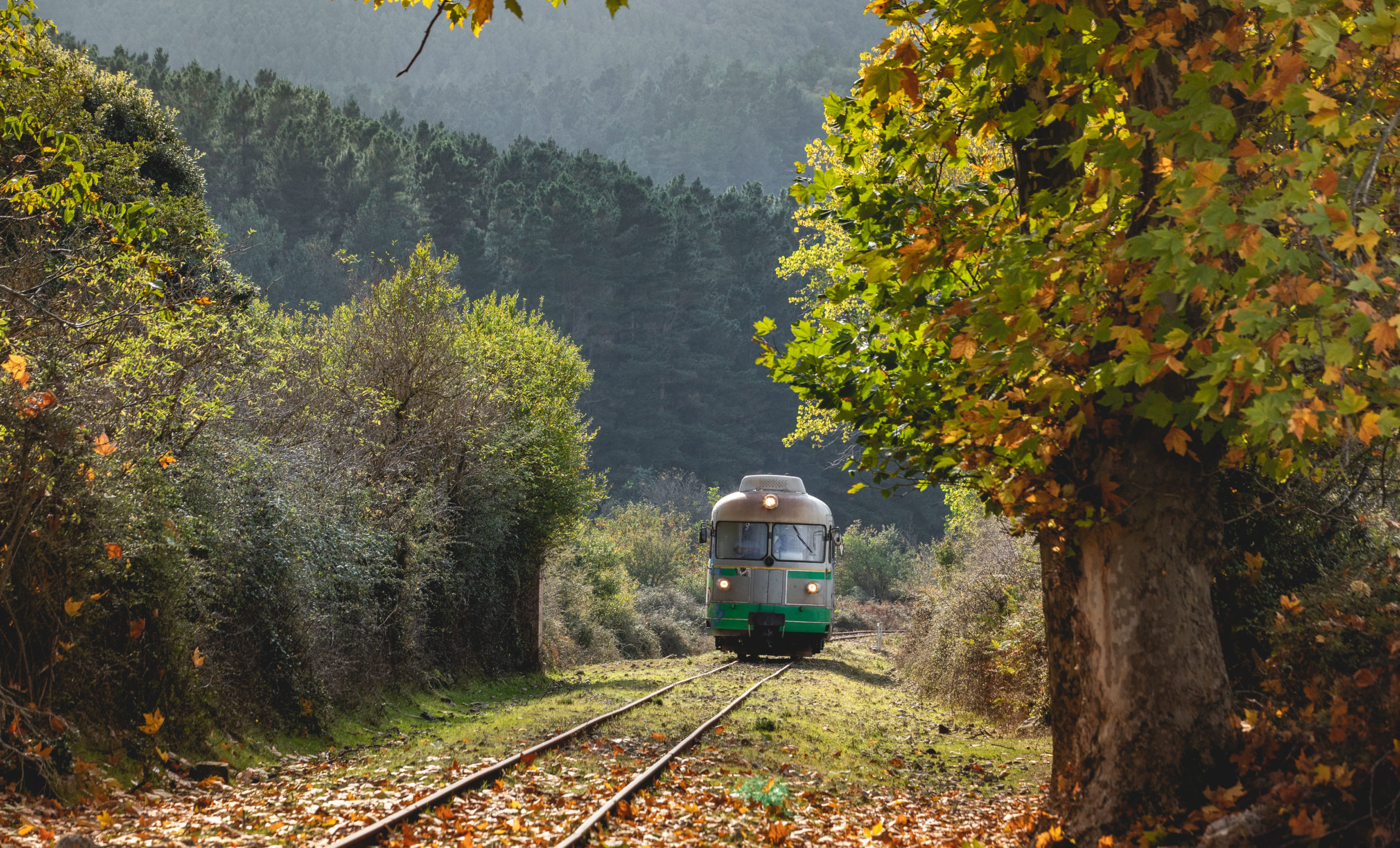 Automotrice diesel elettrica