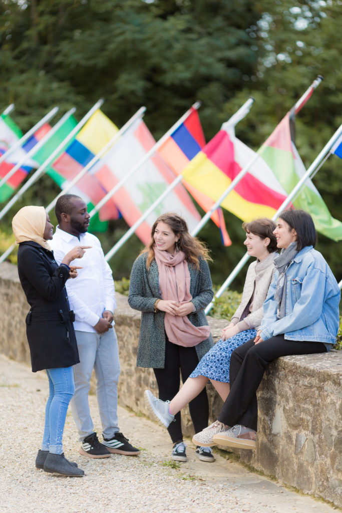 Foto Stock Rondine1442