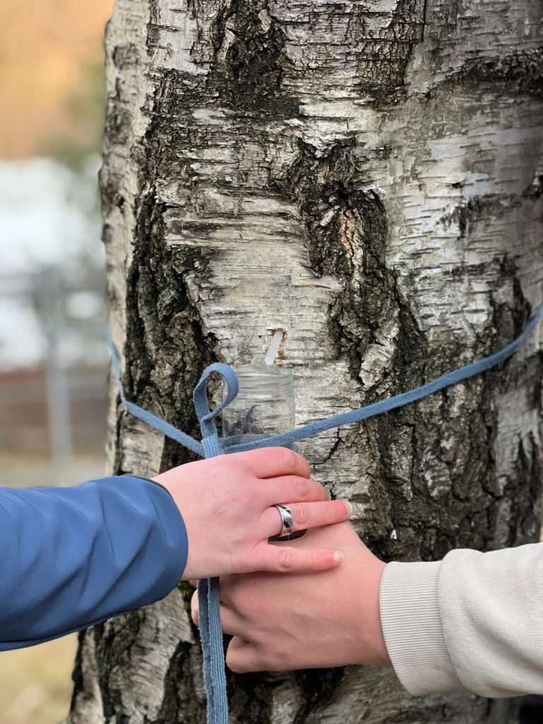 linfa di betulla 2022-2